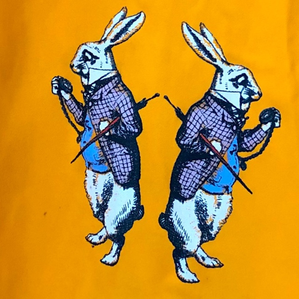 Collared Rabbit Short Sleeve Top - Custom! - Picture 3 of 5